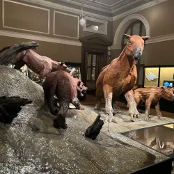 National Museum - Prague