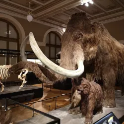 National Museum - Prague