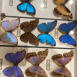 Museum of the City of Přerov - Prerov