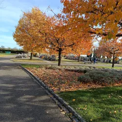 Přerov Synagogue - Prerov
