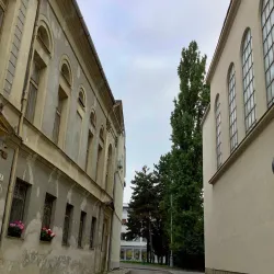 Prostejov Synagogue - Prostejov