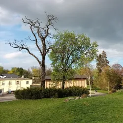 Smetana Park - Prostejov