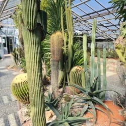 Smetana Park - Prostejov