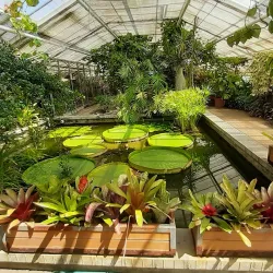 Smetana Park - Prostejov