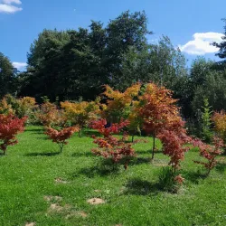 Říčany Botanical Garden - Ricany (Říčany)