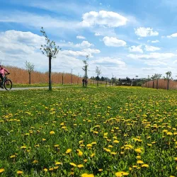 Říčany Cycling Trails - Ricany (Říčany)