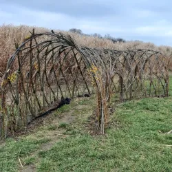 Říčany Cycling Trails - Ricany (Říčany)