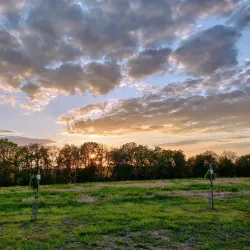 Říčany Cycling Trails - Ricany (Říčany)