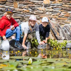 Říčany Museum - Ricany (Říčany)