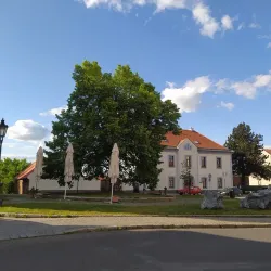 Church of St. Maurice - Ricany (Říčany)