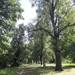 Hiking Trails around Rosice - Rosice