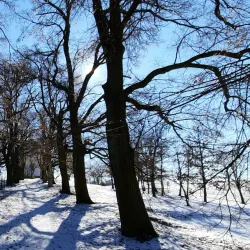 Hiking Trails around Rosice - Rosice