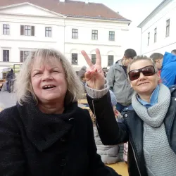 Local Cultural Center - Rosice