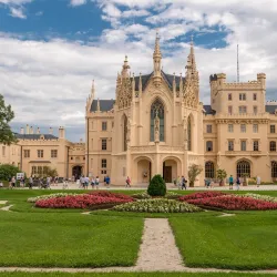 Local Wine Tasting Experiences - Rosice