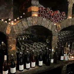 Local Wine Tasting Experiences - Rosice