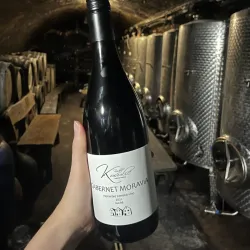 Local Wine Tasting Experiences - Rosice