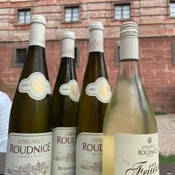 Baroque Garden at Roudnice Castle - Roudnice nad Labem