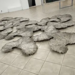 Local Art Galleries - Roudnice nad Labem