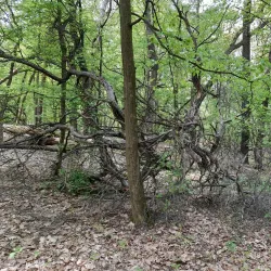 Parks and Recreational Areas - Roztoky