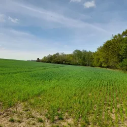 Parks and Recreational Areas - Roztoky