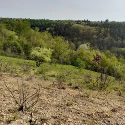 Parks and Recreational Areas - Roztoky