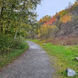 Roztoky Nature Reserve - Roztoky