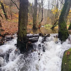 Roztoky Nature Reserve - Roztoky