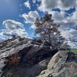 Roztoky Nature Reserve - Roztoky
