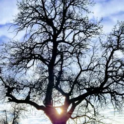 Roztoky Town Square - Roztoky