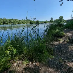 Vltava River Walks - Roztoky