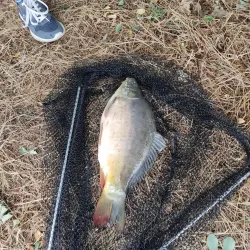 Vltava River Walks - Roztoky