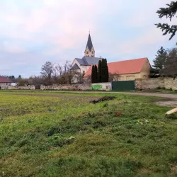 Community Garden - Rudná