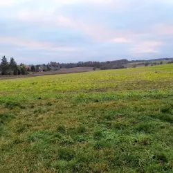 Community Garden - Rudná