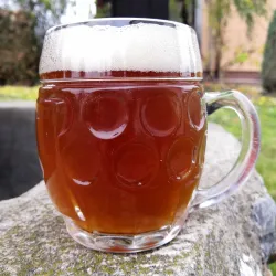 Local Brewery - Rudná