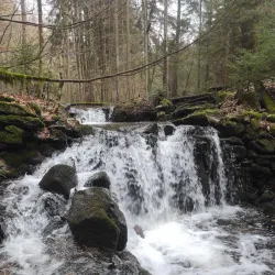 Kněžna River Walks - Rychnov nad Kněžnou