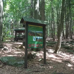 Kněžna River Walks - Rychnov nad Kněžnou