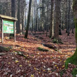 Kněžna River Walks - Rychnov nad Kněžnou