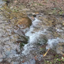 Kněžna River Walks - Rychnov nad Kněžnou