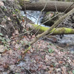 Kněžna River Walks - Rychnov nad Kněžnou