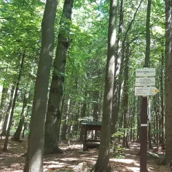 Kněžna River Walks - Rychnov nad Kněžnou