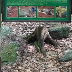 Kněžna River Walks - Rychnov nad Kněžnou