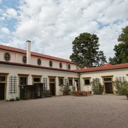 Local Art Galleries - Rychnov nad Kněžnou