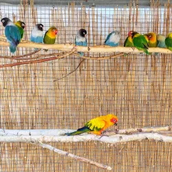 Rychnov Castle - Rychnov nad Kněžnou