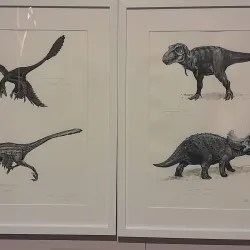 Brno City Museum - Slapanice