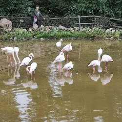 Brno Zoo - Slapanice
