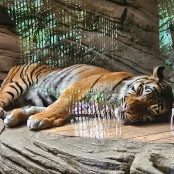 Brno Zoo - Slapanice