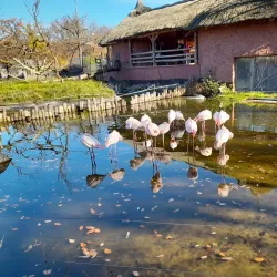 Brno Zoo - Slapanice