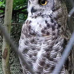Brno Zoo - Slapanice