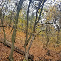 Šlapanice Town Center - Slapanice