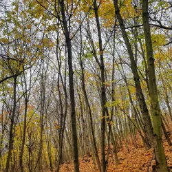 Šlapanice Town Center - Slapanice